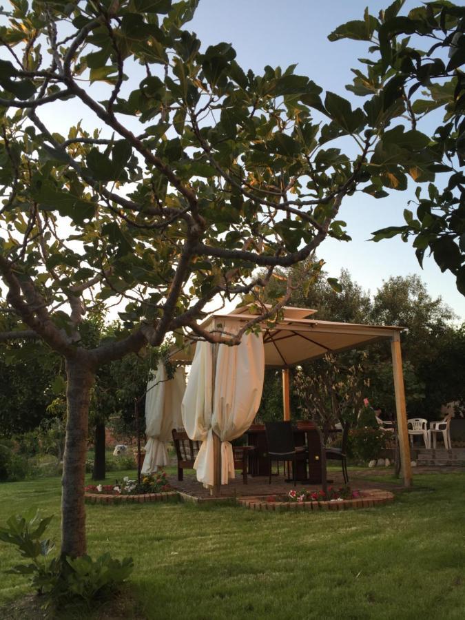 B&B Villa Magna Grecia Lazzaro Extérieur photo