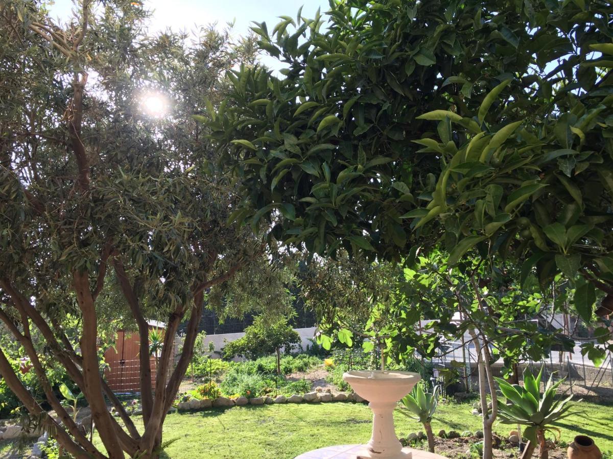 B&B Villa Magna Grecia Lazzaro Extérieur photo